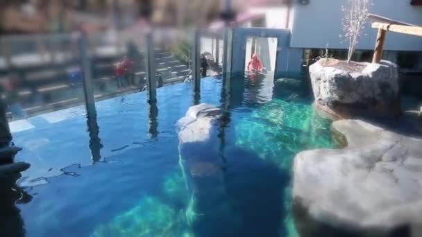 Menschenmenge im Aquarium im Zoo — Stockvideo