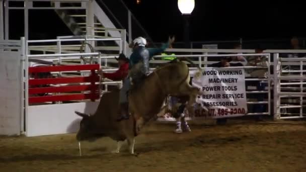 Kowboj dostaje bucked od byka — Wideo stockowe