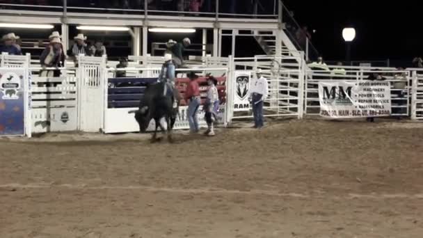 Cowboy reitet auf einem Bullen — Stockvideo