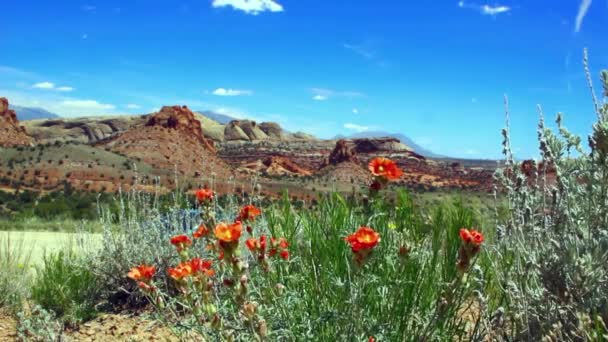 Hermoso desierto de Capitol Reef — Vídeos de Stock