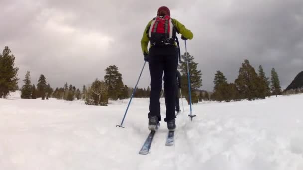 Pessoas esqui cross country — Vídeo de Stock