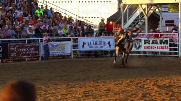 Cowboy zu Pferd beim Rodeo — Stockvideo