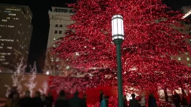 Gente disfrutando de las luces de Navidad — Vídeo de stock