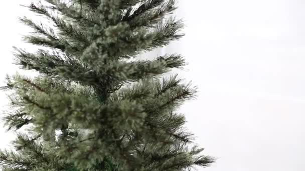 Рождественская елка перед украшением — стоковое видео
