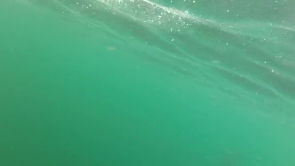 Trampa de langosta siendo sacada del océano — Vídeo de stock