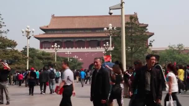 The Forbidden City Palace Courtyard — Stock Video
