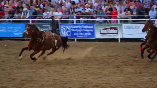 Cowboy csapat roping — Stock videók