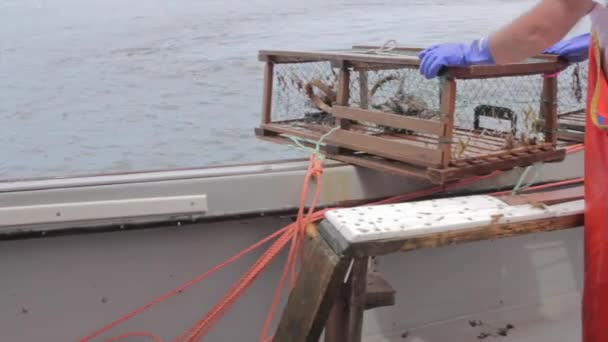 Рибалки налаштування трепінгу — стокове відео