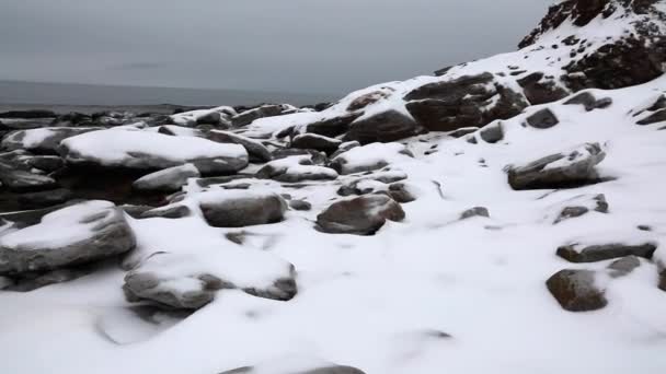 Bela costa oceânica no inverno — Vídeo de Stock