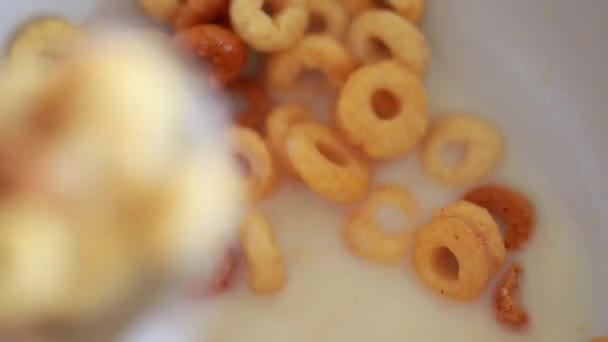 Person, die Mehrkorn-Cheerios isst — Stockvideo