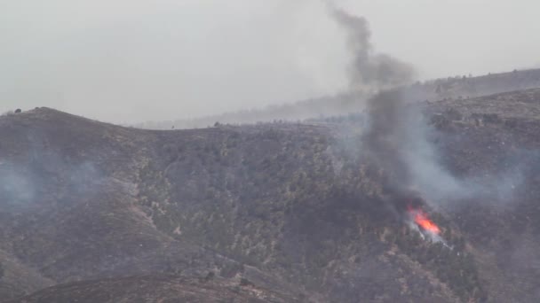 Een razende wildvuur op een berg — Stockvideo