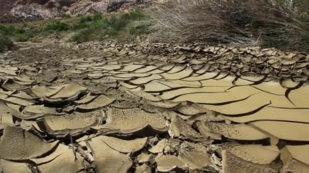 Couche de terre fissurée sèche — Video