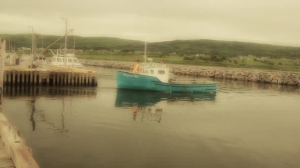 Рибальські човни в гавані — стокове відео