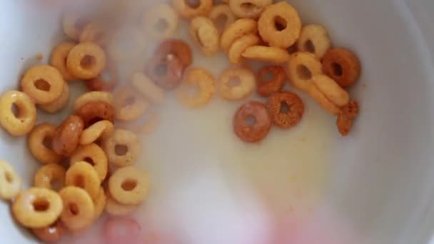 Persona comiendo Cheerios multigrano — Vídeo de stock