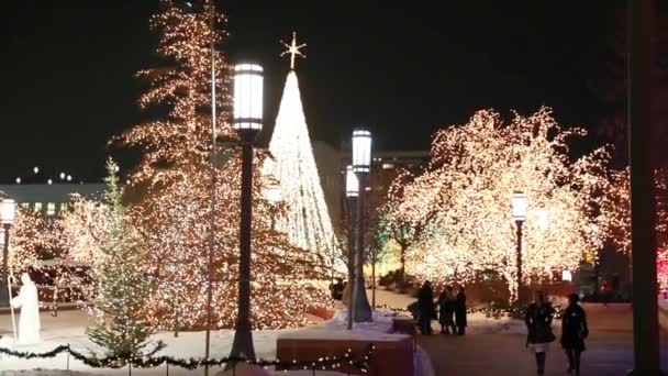 Orang-orang menikmati lampu Natal — Stok Video