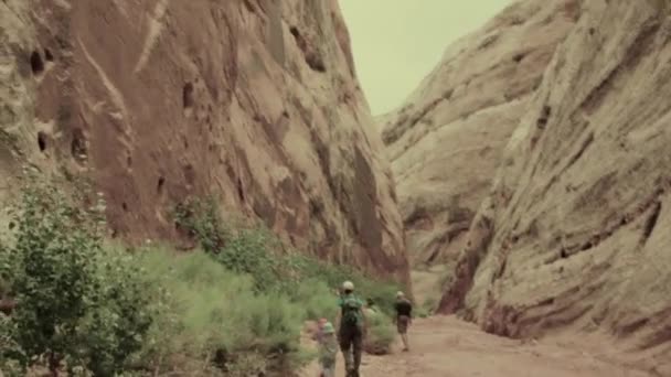 Randonnée en famille dans un canyon — Video