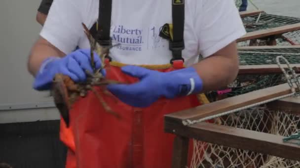 Fishermen measuring their catch — Stock Video