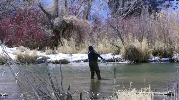 Balıkçı nehirde balık tutuyor. — Stok video