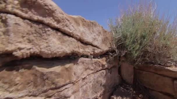 Gran cañón en un desierto caliente y seco — Vídeos de Stock
