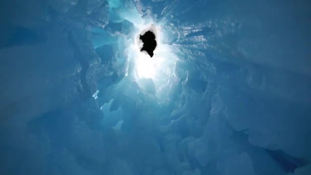 Gente caminando alrededor de un castillo de hielo — Vídeos de Stock