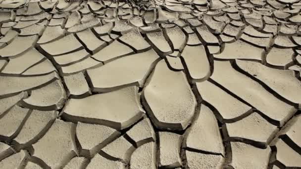 Camada de terra seca rachada — Vídeo de Stock