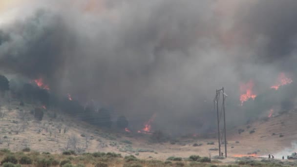 Fuoco selvaggio scatenato brucia attraverso la montagna — Video Stock