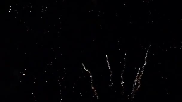 Belos fogos de artifício no céu — Vídeo de Stock