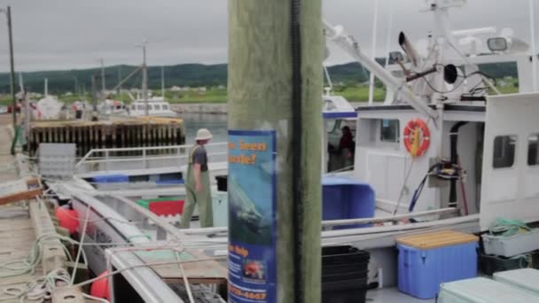 Vissersboten in de haven van een — Stockvideo