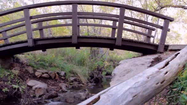 Ponte pedonale sul torrente di montagna — Video Stock