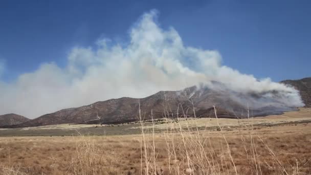 Raging wildfire burns across the mountain — Stock Video