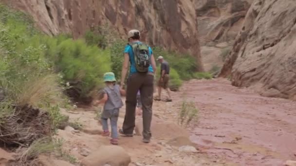 A family hiking through national park — Stock Video