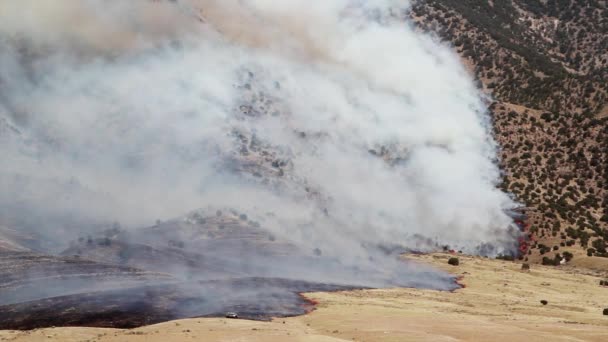 Raging wildfire burns across the mountain — Stock Video