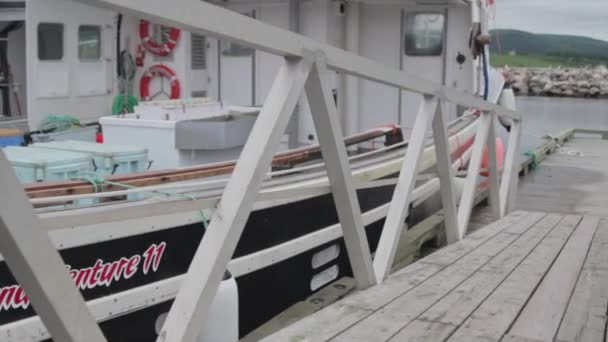 Barcos de pesca em um porto — Vídeo de Stock