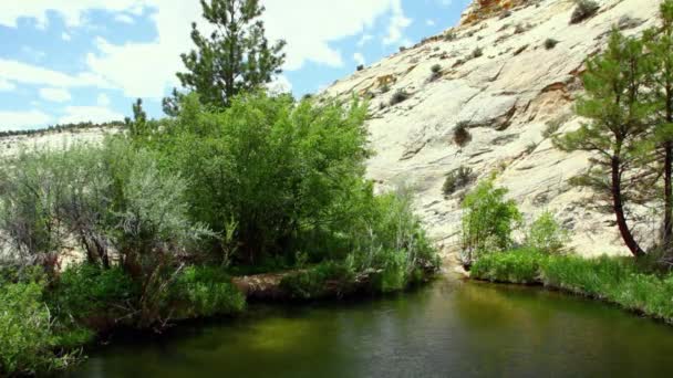 Waterfall and oasis in park — Stock Video