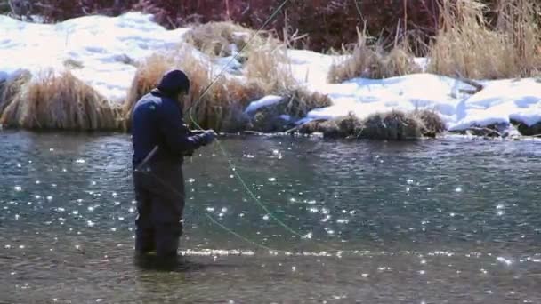 Visser vissen in de rivier — Stockvideo