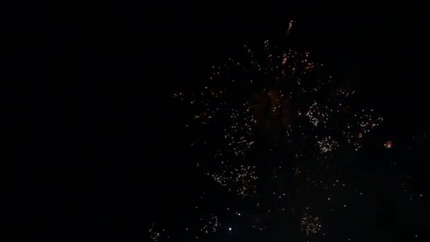 A beautiful firework display — Stock Video