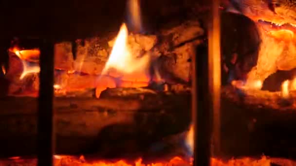 Wood burning in fireplace — Stock Video