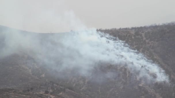 Fuoco selvaggio scatenato brucia attraverso la montagna — Video Stock