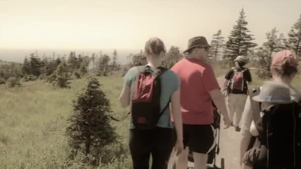 Hikers on skyline trail — Stock Video