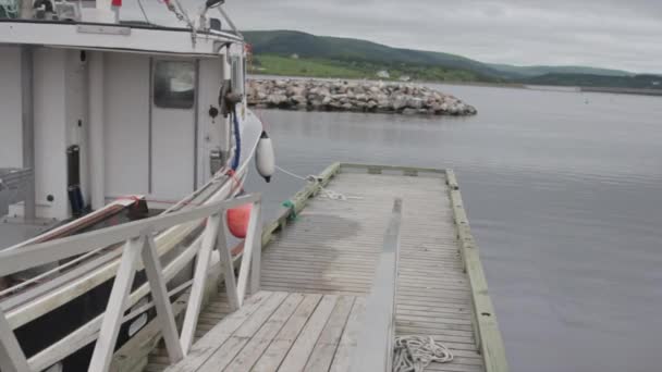 Barcos de pesca en un puerto — Vídeo de stock