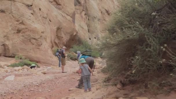 Family hiking through a canyon — Stock Video