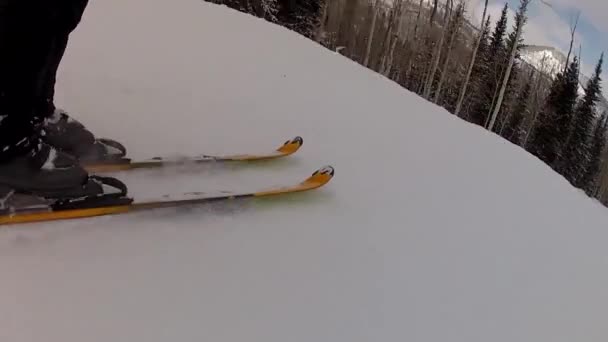 Rask skiløper på fjell – stockvideo