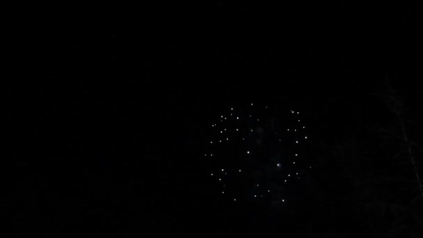 Gyönyörű tűzijáték az égen — Stock videók