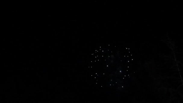 Hermosos fuegos artificiales en el cielo — Vídeos de Stock