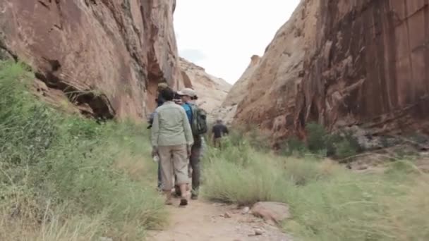 Escursioni in famiglia attraverso un canyon — Video Stock