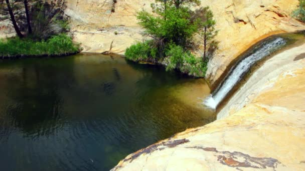 Wasserfall und Oase im Park — Stockvideo