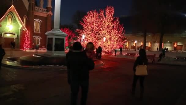 Les gens apprécient les lumières de Noël — Video