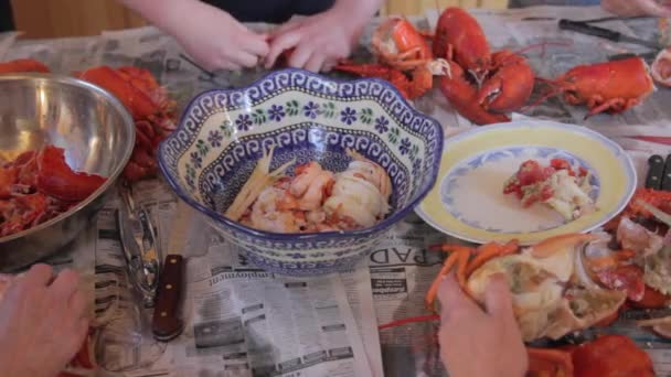 Family prepares fresh lobsters — Stock Video