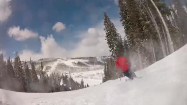 Seguindo um esquiador na montanha — Vídeo de Stock