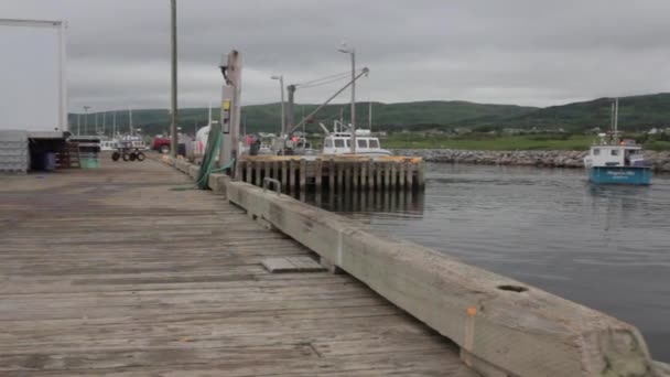Barcos de pesca en un puerto — Vídeos de Stock